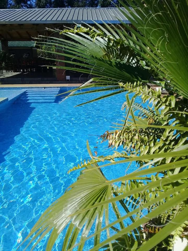 Cabanas Y Boungalow Don Oscar Hotell Encarnación Eksteriør bilde